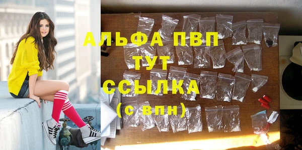 ECSTASY Гусиноозёрск