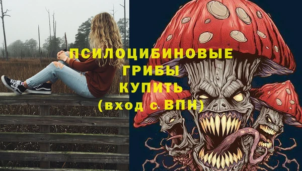 MDMA Гусев