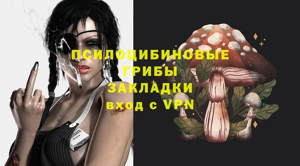 ECSTASY Гусиноозёрск